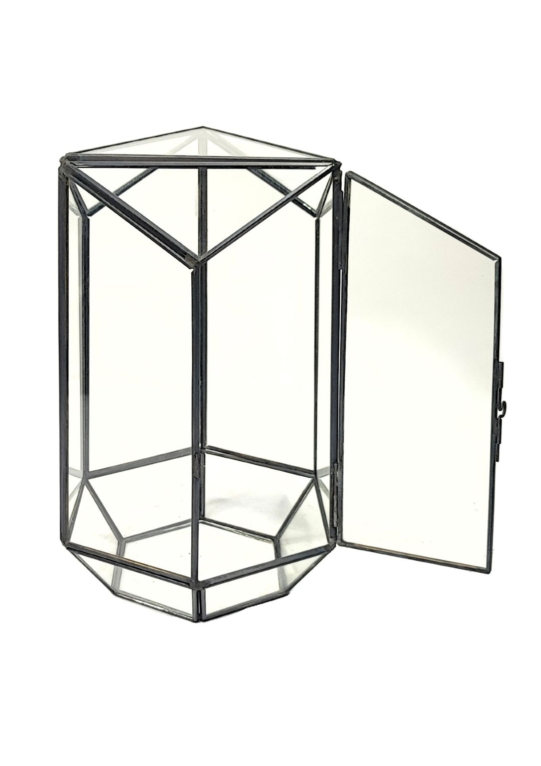 
L'immagine mostra un terrario geometrico a forma esagonale con una porticina aperta. La struttura è in vetro trasparente con un bordo metallico nero, creando un look moderno ed elegante. Questo terrario è ideale per piccole piante decorative, offrendo un facile accesso per la manutenzione e la creazione di composizioni verdi.