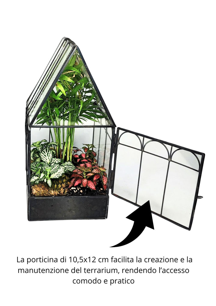 
L'immagine mostra un terrarium con una porticina aperta di dimensioni 10,5x12 cm, che facilita la creazione e la manutenzione del terrarium, rendendo l'accesso comodo e pratico.