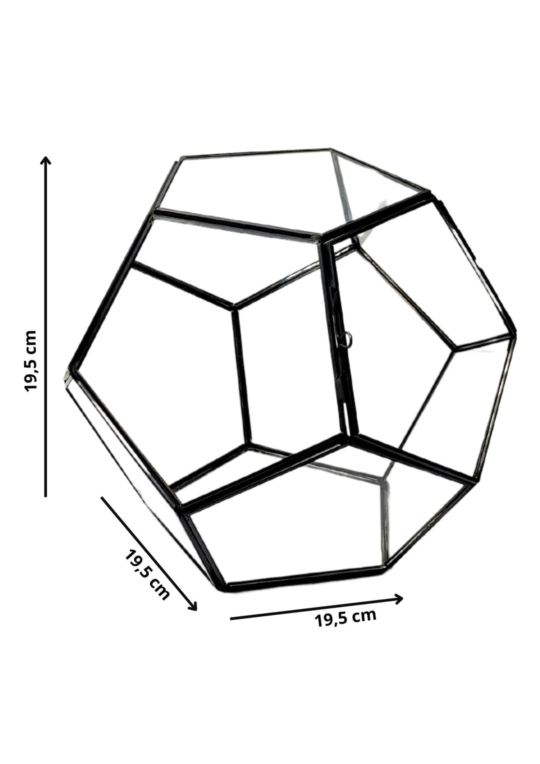 Terrario geometrico in vetro trasparente con dimensioni di 19,5x19,5 cm e un'apertura frontale per facilitare l'accesso e la manutenzione.