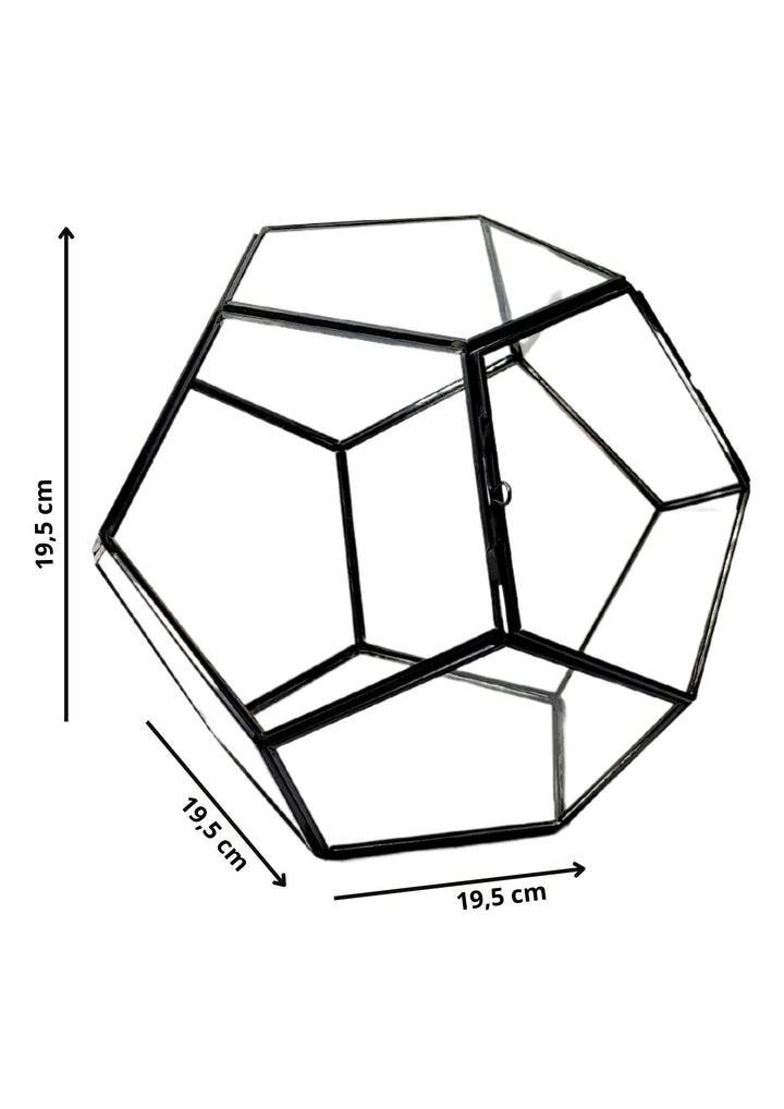 Terrario geometrico in vetro trasparente con dimensioni di 19,5x19,5 cm e un'apertura frontale per facilitare l'accesso e la manutenzione.