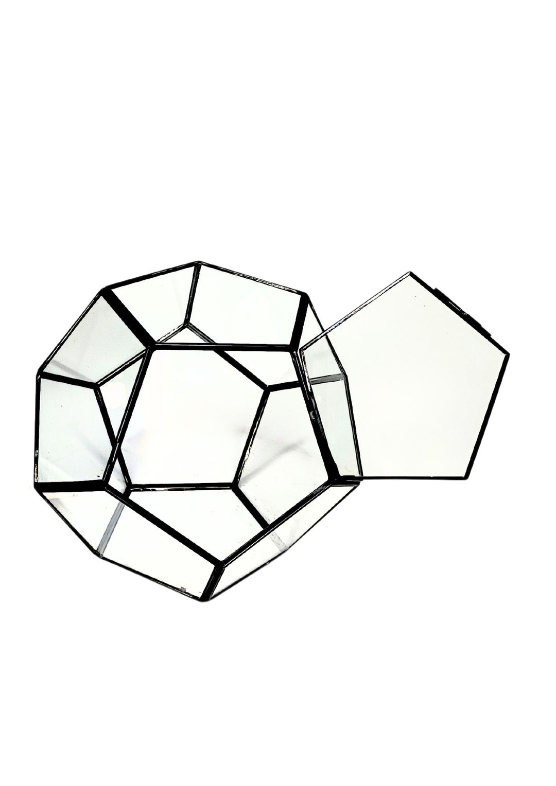 
Terrario geometrico in vetro a forma di dodecaedro con apertura frontale, ideale per l’allestimento e la manutenzione delle composizioni di piante.








