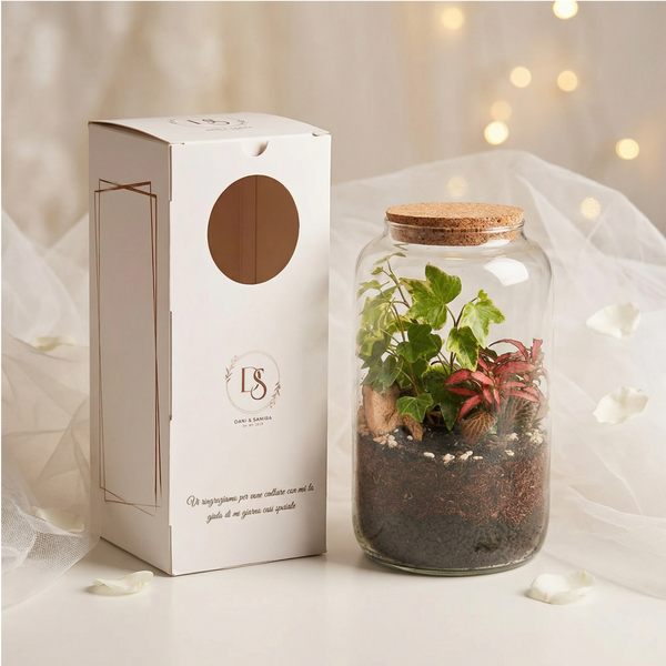Bomboniera matrimonio terrarium vetro con box personalizzata
