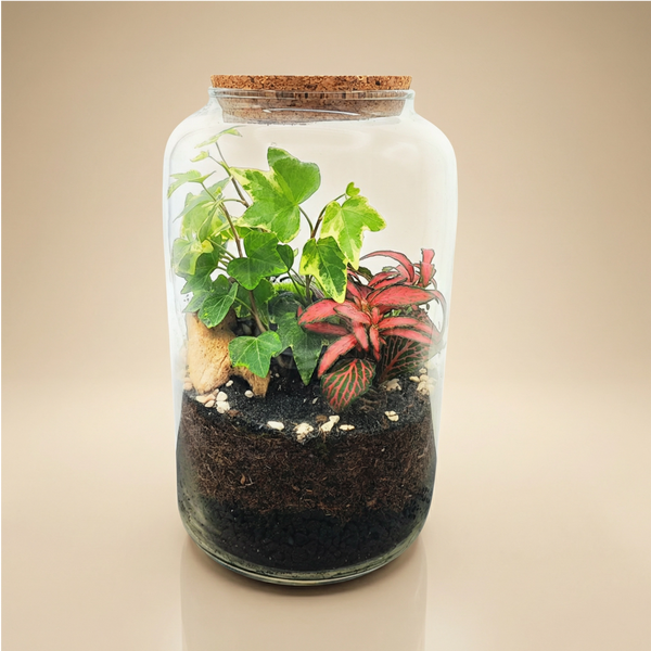 Bomboniera green terrarium in vetro con tappo sughero