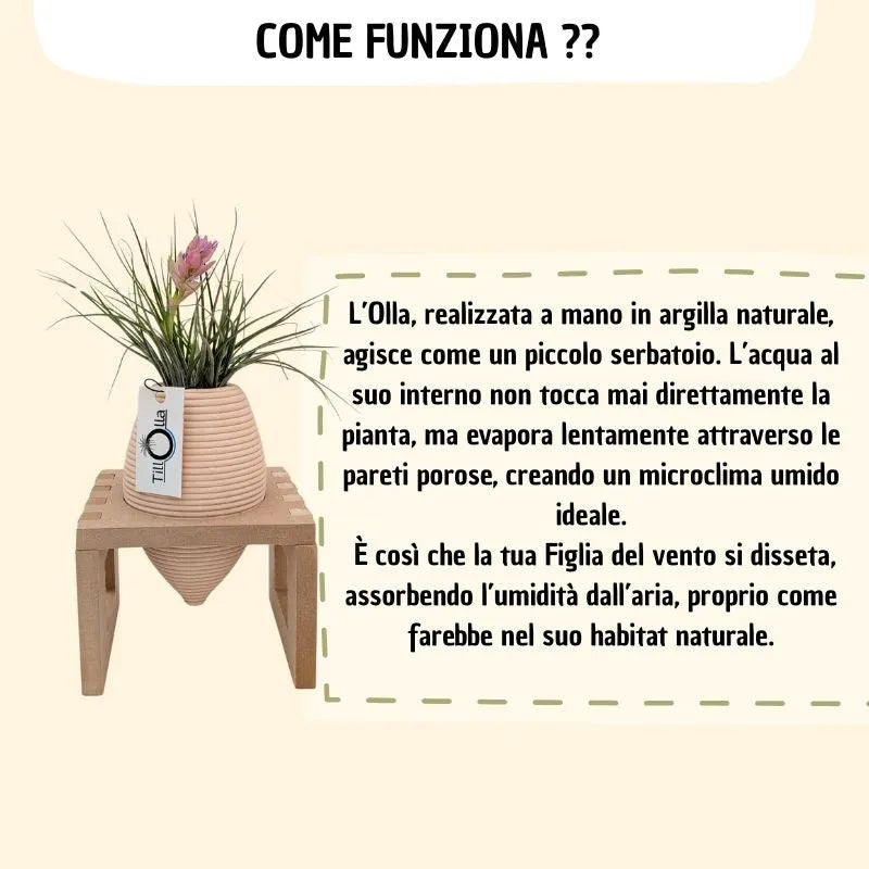 infografica che mostra e spiega come funziona 