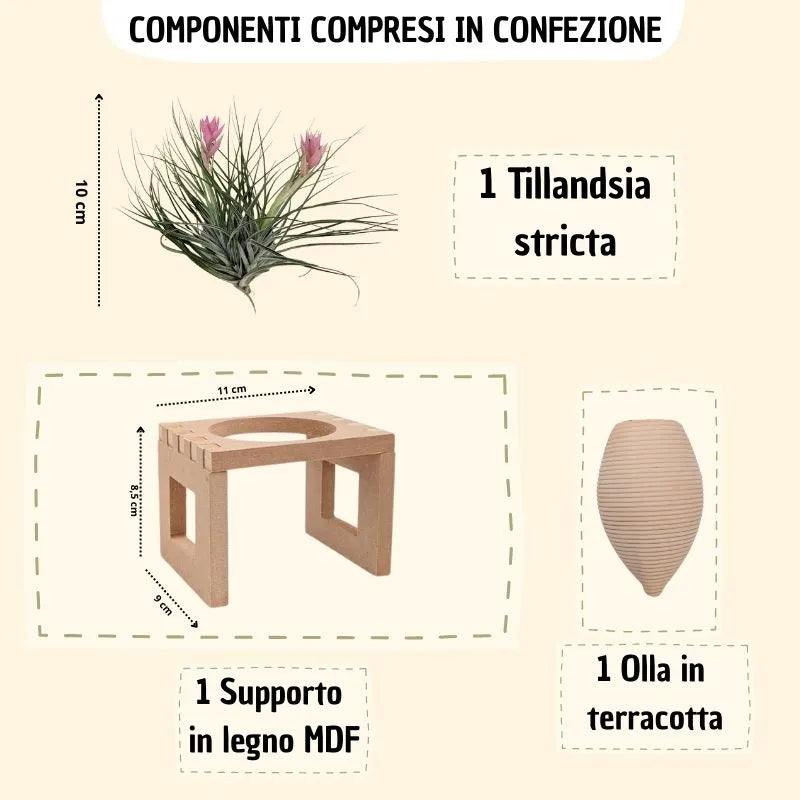 infografica che mostra i vari componenti inclusi in confezione e le varie misure dei vari elementi 