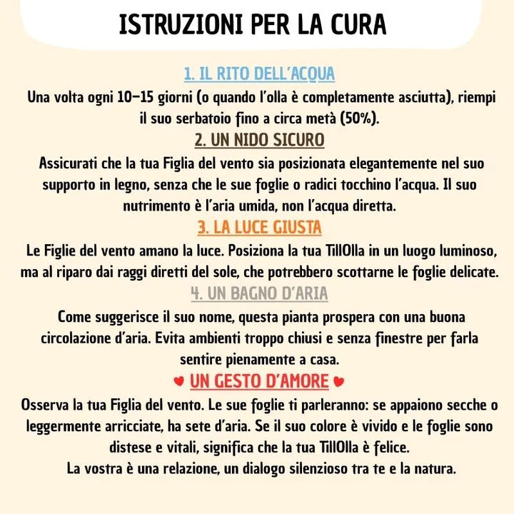 infografica che spiga come prendersi cura della tillandsia 