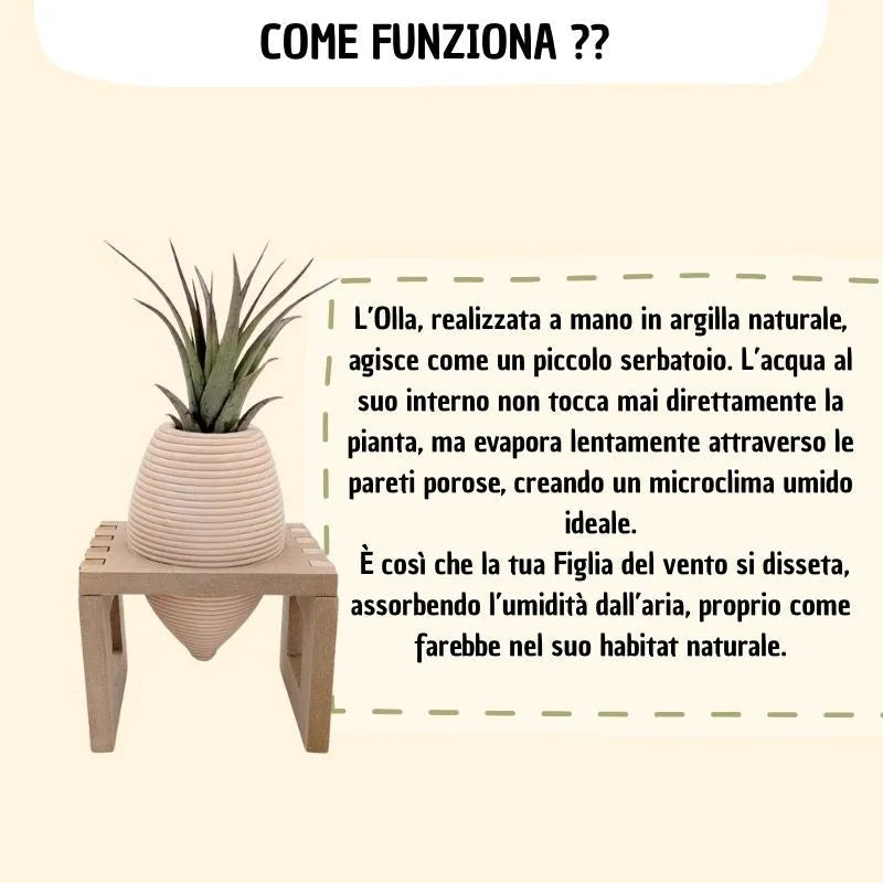 infografica che mostra e spiega come funziona 