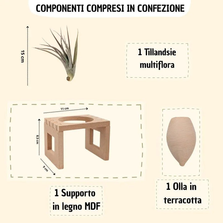 infografica che mostra i vari componenti inclusi in confezione e le varie misure dei vari elementi 