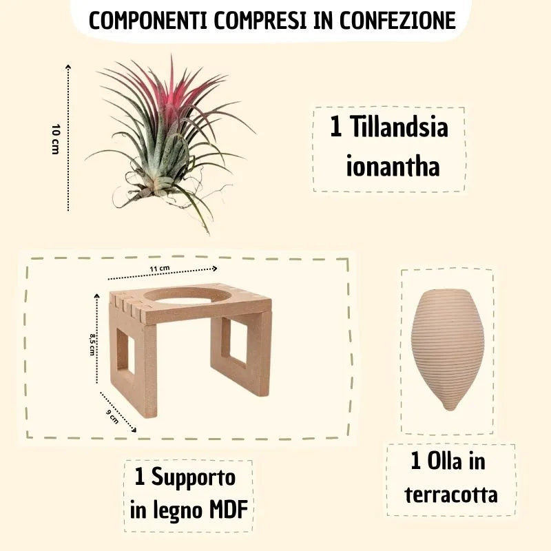 infografica che mostra i vari componenti inclusi in confezione e le varie misure dei vari elementi 