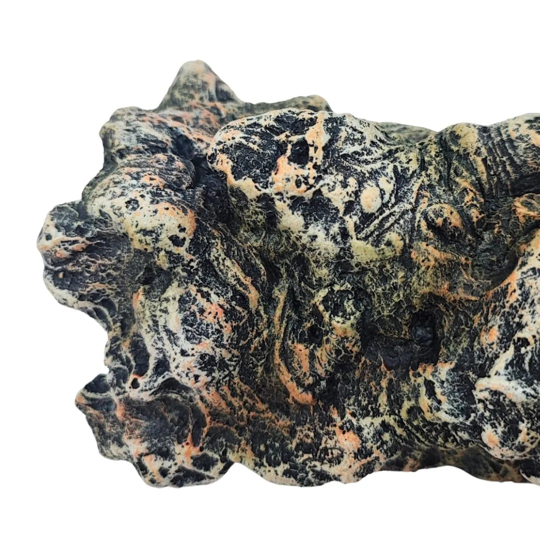 Dettaglio della superficie del tronco in resina con texture realistica, colori naturali nero, arancio e beige, decorazione per terrarium