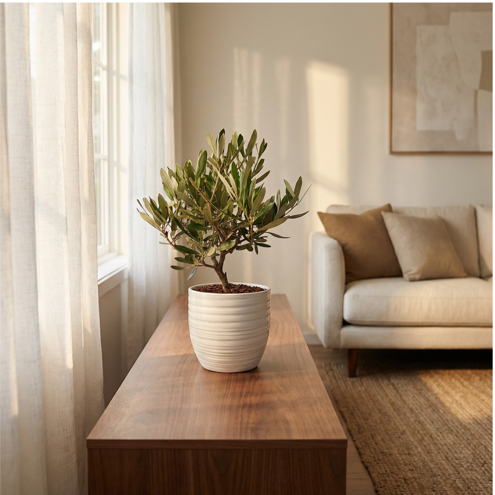 i Giardini di Giulia 