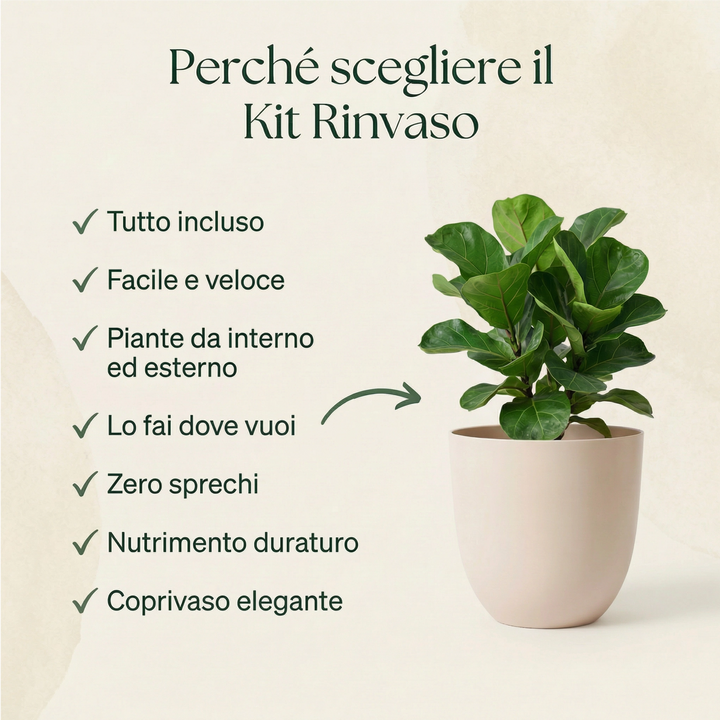 Kit Rinvaso Ø15 cm - 7 vantaggi per rinvasare piante da interno in modo facile e pulito