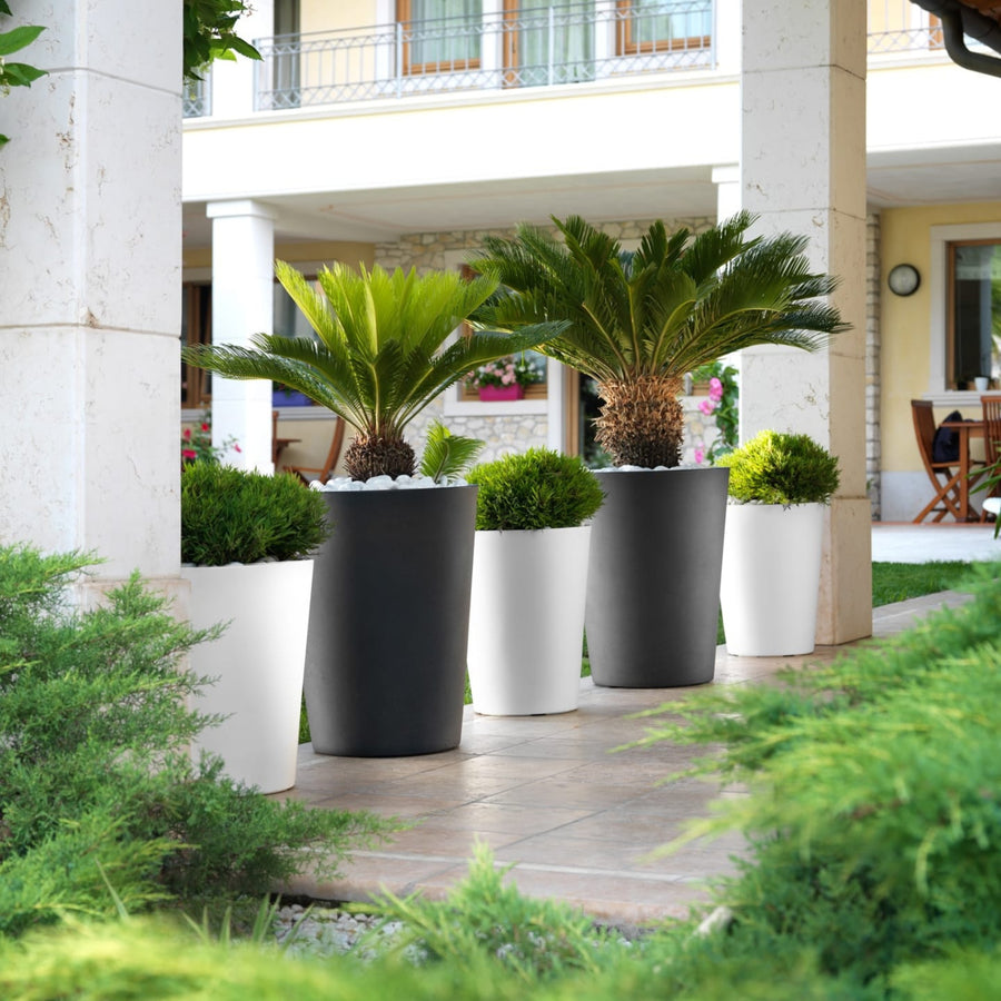 Composizione di vasi alti bianchi e neri con palme e piante verdi ornamentali su veranda esterna, in un elegante giardino residenziale.