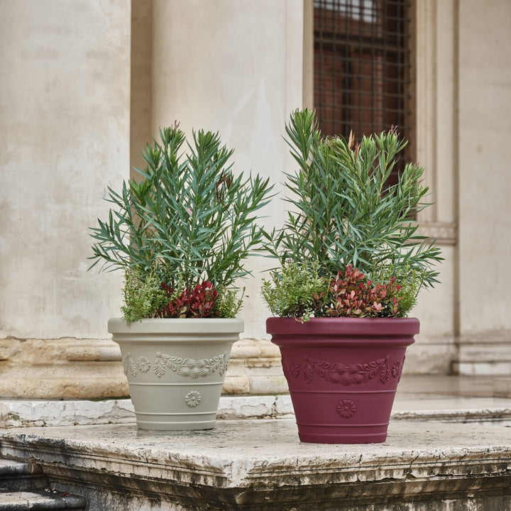 Coppia di vasi classici con oleandri su sfondo architettonico.