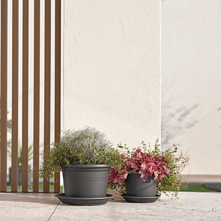 Due vasi da esterno in plastica grigia con piante ornamentali, ambientati su una terrazza minimal accanto a una parete chiara – soluzione elegante per giardini o ingressi moderni.

