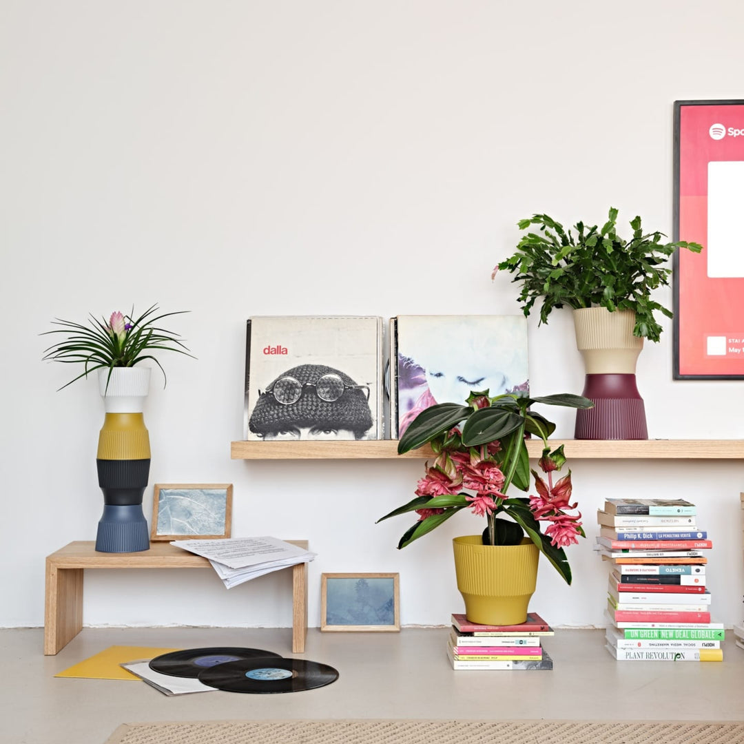 Vasi decorativi colorati con piante da soggiorno accanto a vinili e libri.