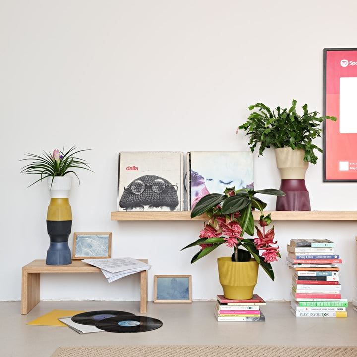 Vasi decorativi colorati con piante da soggiorno accanto a vinili e libri.