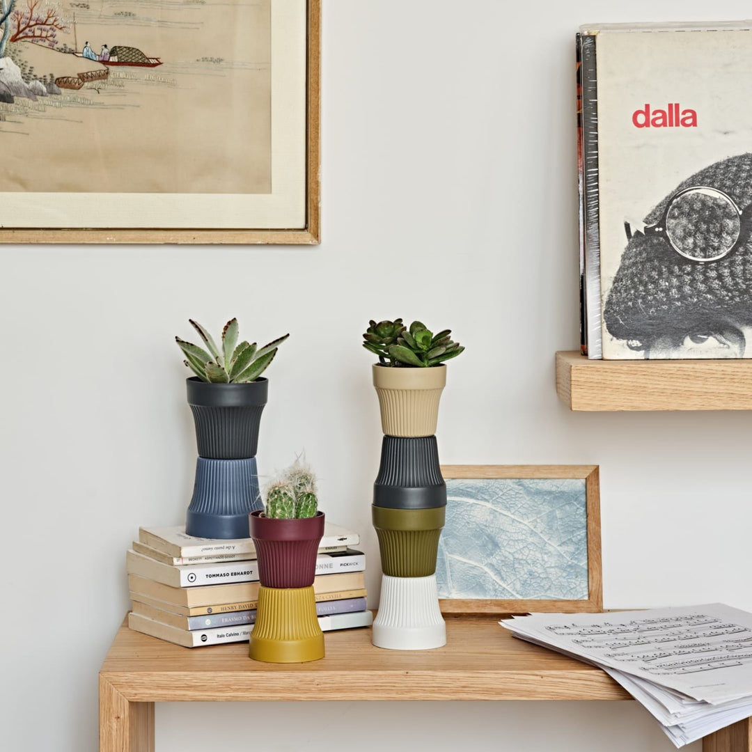 Vasi impilabili colorati con piante succulente su mensola in legno tra libri e vinili.
