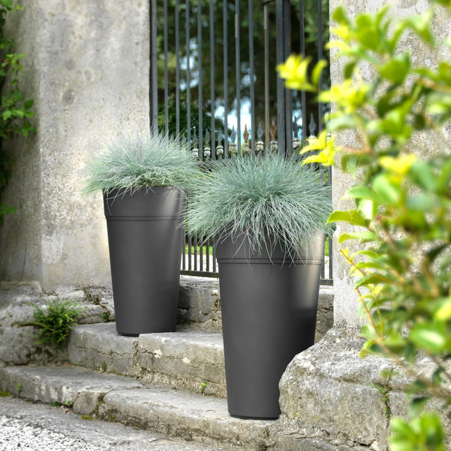 Coppia di vasi neri con erba ornamentale posizionati su gradini in pietra accanto a un cancello
