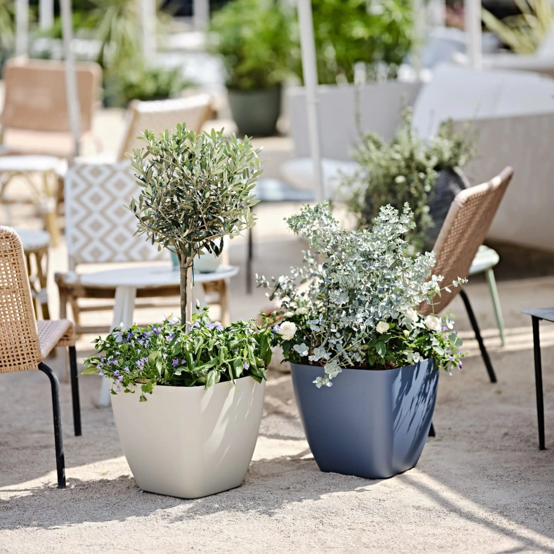 Vasi quadrati da esterno con olivo e piante fiorite in ambiente outdoor.