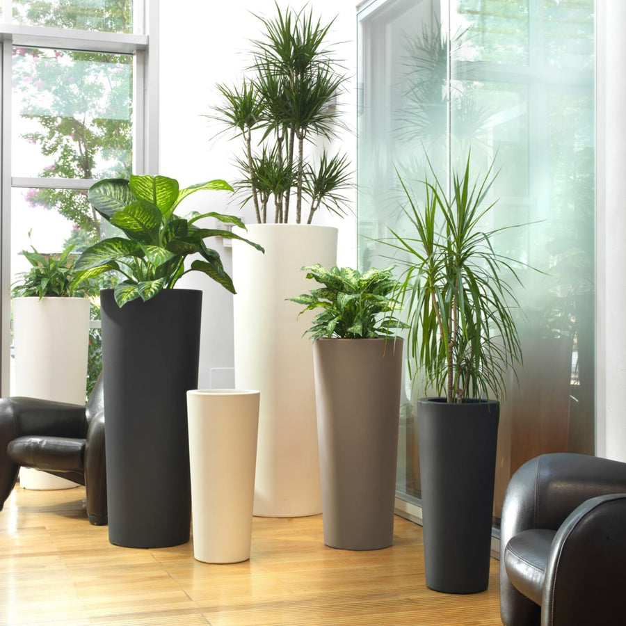 Vasi alti moderni in bianco e nero con piante verdi decorative in un elegante ambiente interno con pavimento in legno e arredo minimal.