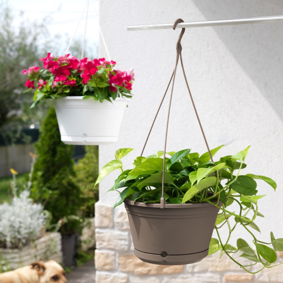 Vaso Basket Air 29,5x29,5x18 con riserva d'acqua - i Giardini di Giulia