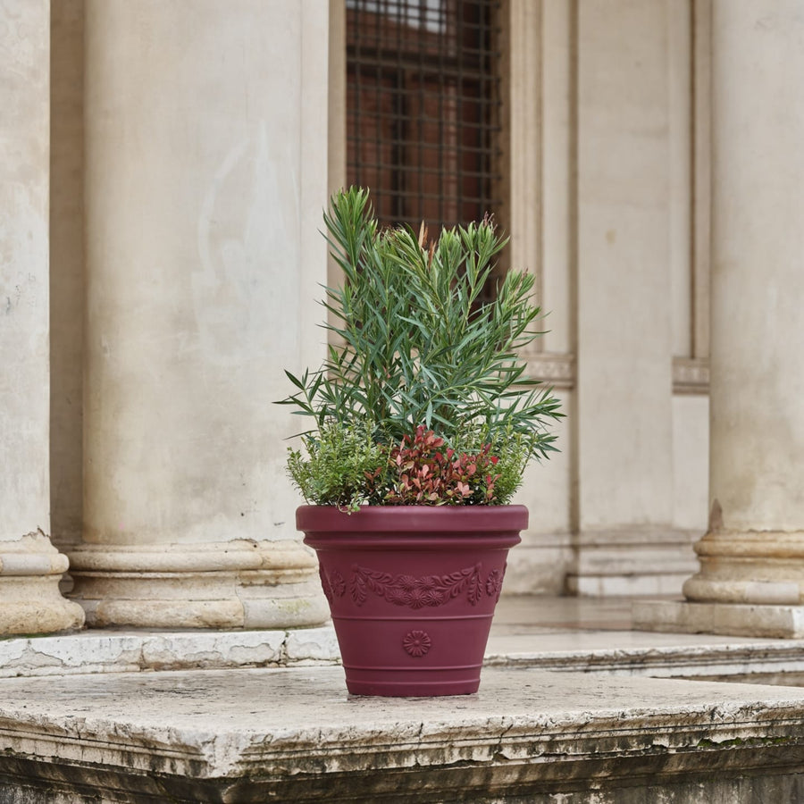 Vaso decorato bordeaux con oleandro e piante miste.