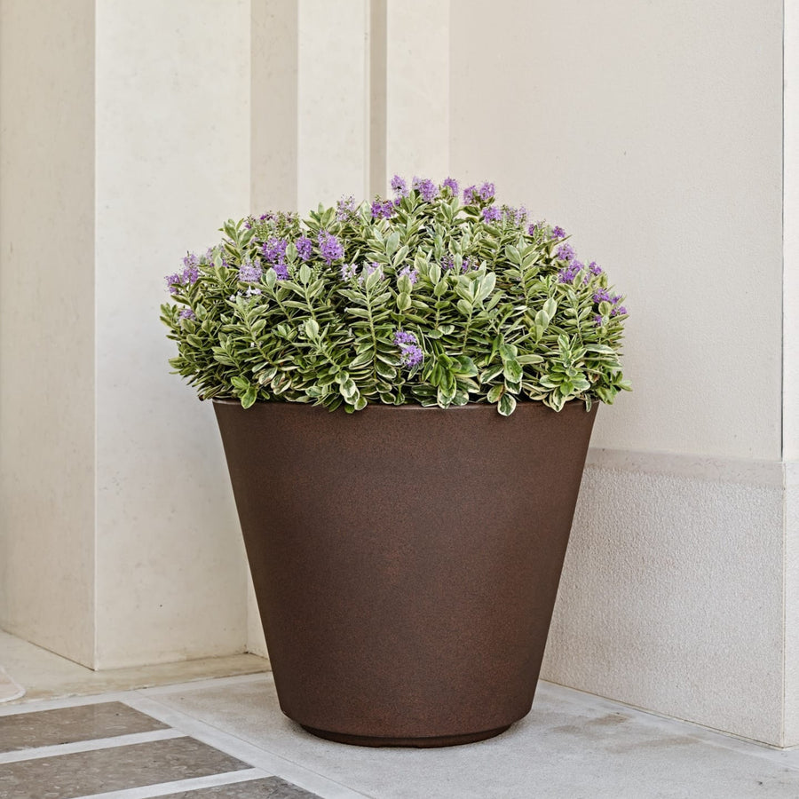 Vaso cilindrico in effetto corten con pianta di lavanda a fioritura viola, posizionato in un angolo esterno elegante