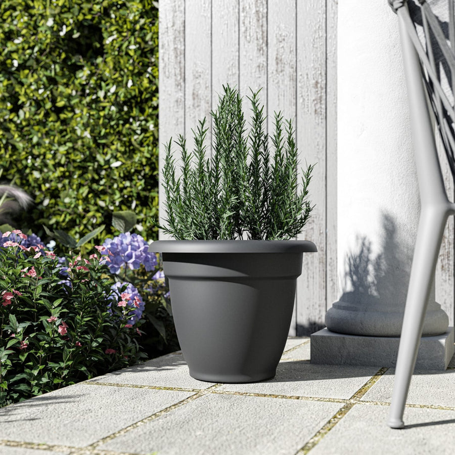 Vaso moderno color antracite con pianta di rosmarino, posizionato su un patio esterno accanto a una colonna bianca e a una siepe fiorita, ideale per balconi e giardini urbani.