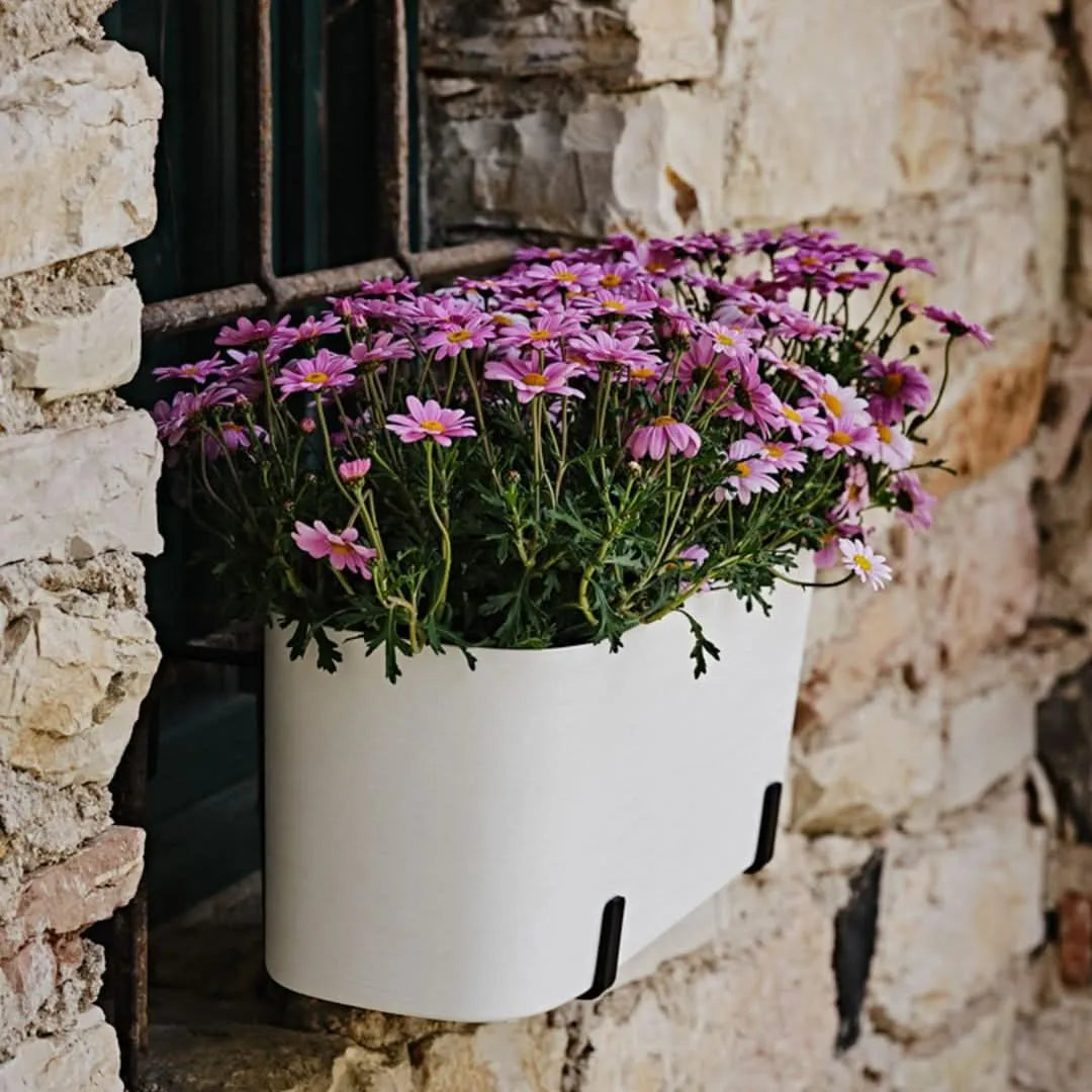 Vaso Paros Kit Fioriera da balcone - i Giardini di Giulia