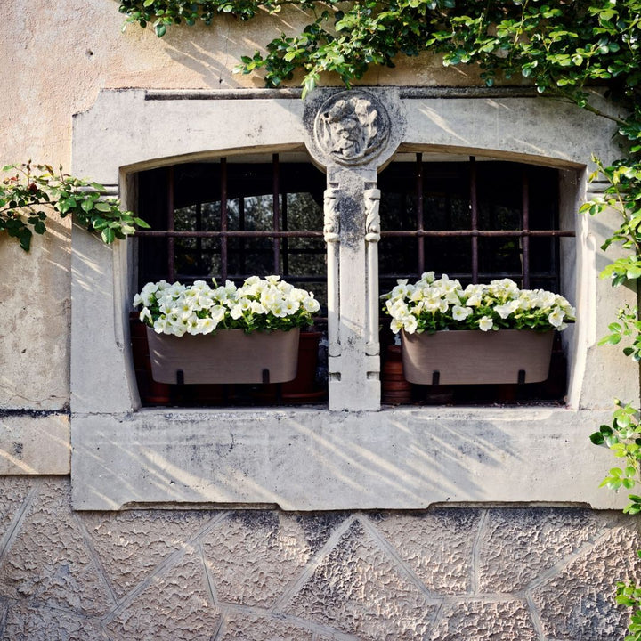 Vaso Paros Kit Fioriera da balcone - i Giardini di Giulia