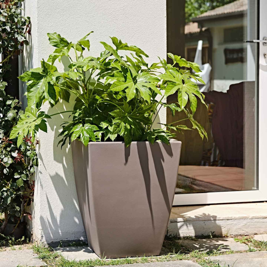 Vaso quadrato alto color grigio tortora con pianta verde rigogliosa, posizionato accanto a una porta vetrata in un ambiente esterno.