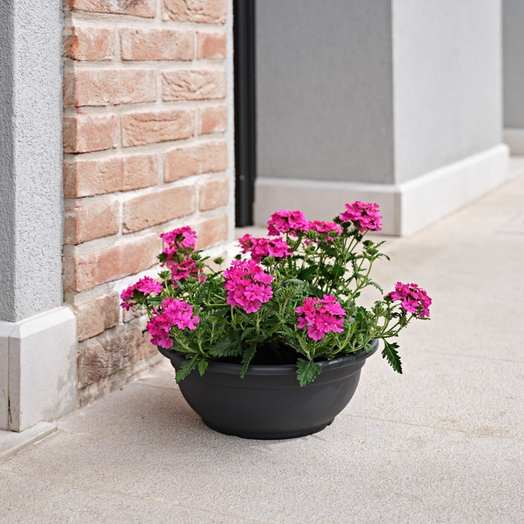 Fioriera rotonda antracite con fioritura di verbene rosa brillante, posta vicino a un muro in mattoni su pavimentazione esterna.