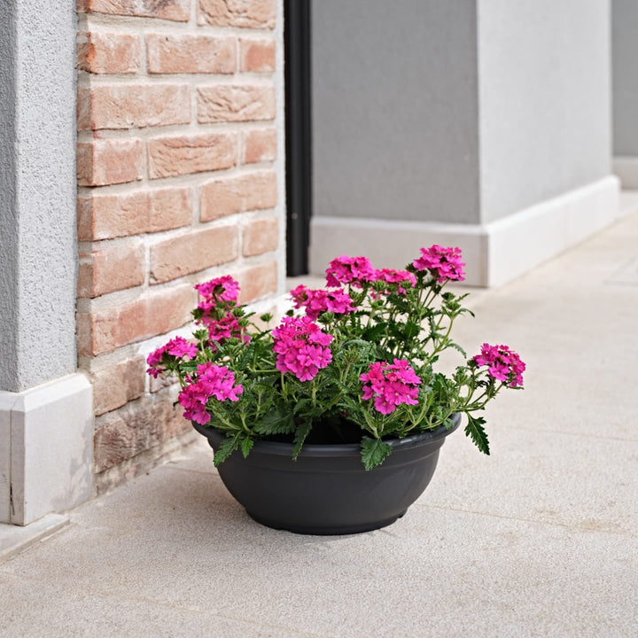 Fioriera rotonda antracite con fioritura di verbene rosa brillante, posta vicino a un muro in mattoni su pavimentazione esterna.