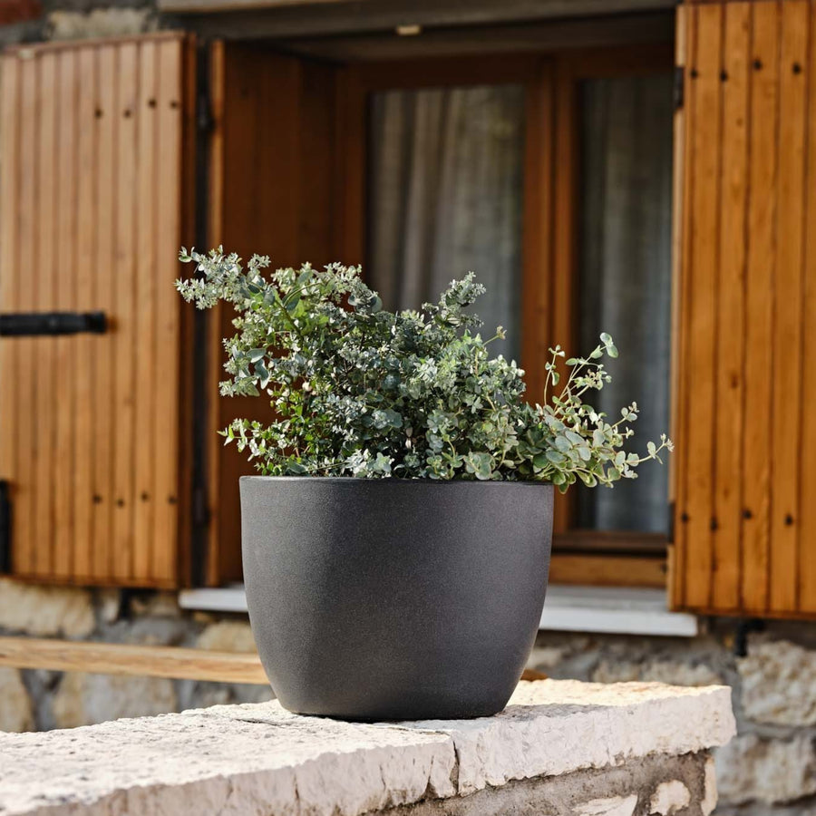 Vaso rotondo grigio scuro con pianta di eucalipto decorativo, in contesto rustico con sfondo in legno. Perfetto per balconi e spazi esterni eleganti.

