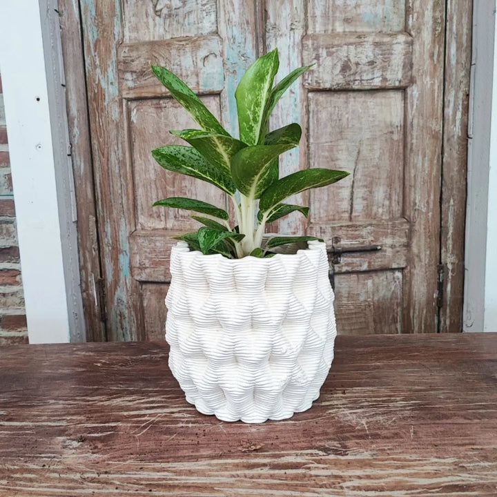 Vaso Rua piccolo Terra&Sole con pianta verde, complemento d’arredo naturale