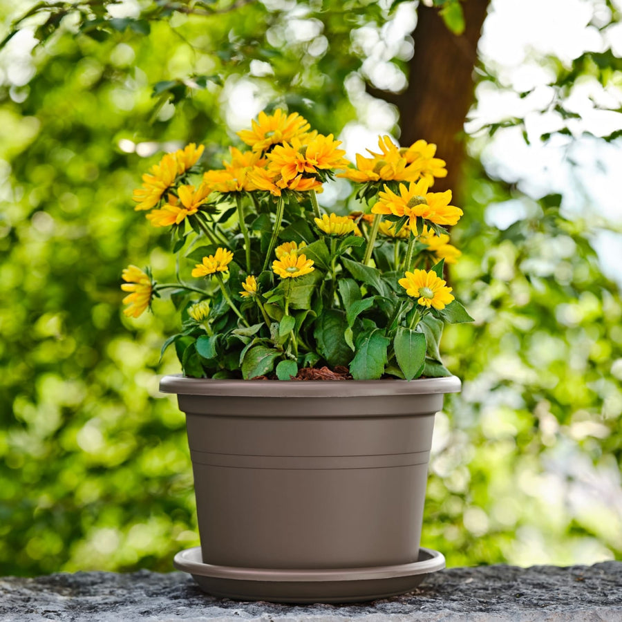 Vaso taupe con fiori gialli simili a margherite, posizionato su un muretto in pietra con sfondo verde brillante – ideale per balconi assolati o giardini fioriti.

