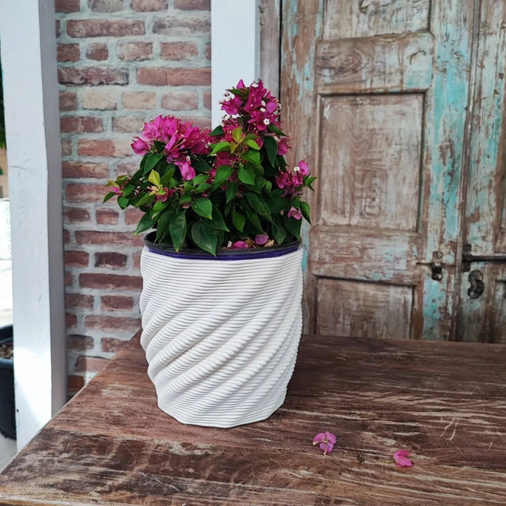 Vaso Cadice artigianale in argilla bianca con texture ondulata, utilizzato come cache-pot per bouganville fiorita.