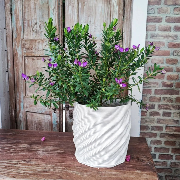 Vaso Cadice Terra&Sole in argilla bianca sostenibile con linee fluide, perfetto per piante ornamentali da interni ed esterni.