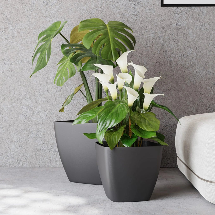 Vasi moderni neri con calla e monstera in angolo relax interno.

