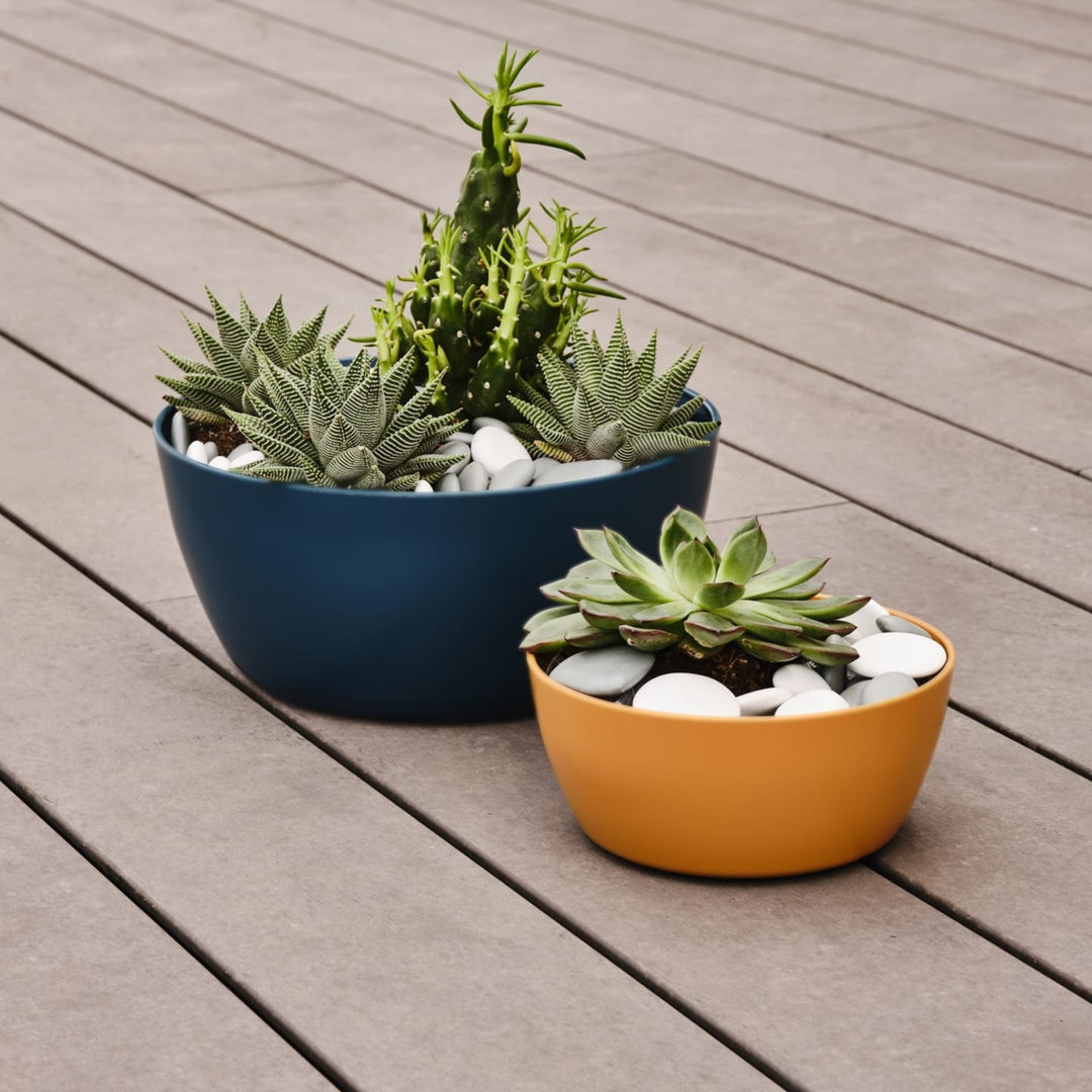 Composizioni di piante grasse e succulente in vasi ovale color curry e blu, con ciottoli decorativi bianchi, su terrazza in legno.